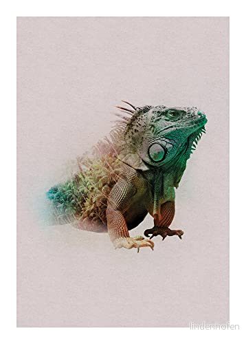 Animals Paradise Iguana storlek: 50 x 70 cm komar, väggmålning, affisch, konsttryck (utan ram), PURE boutique 4055065172533