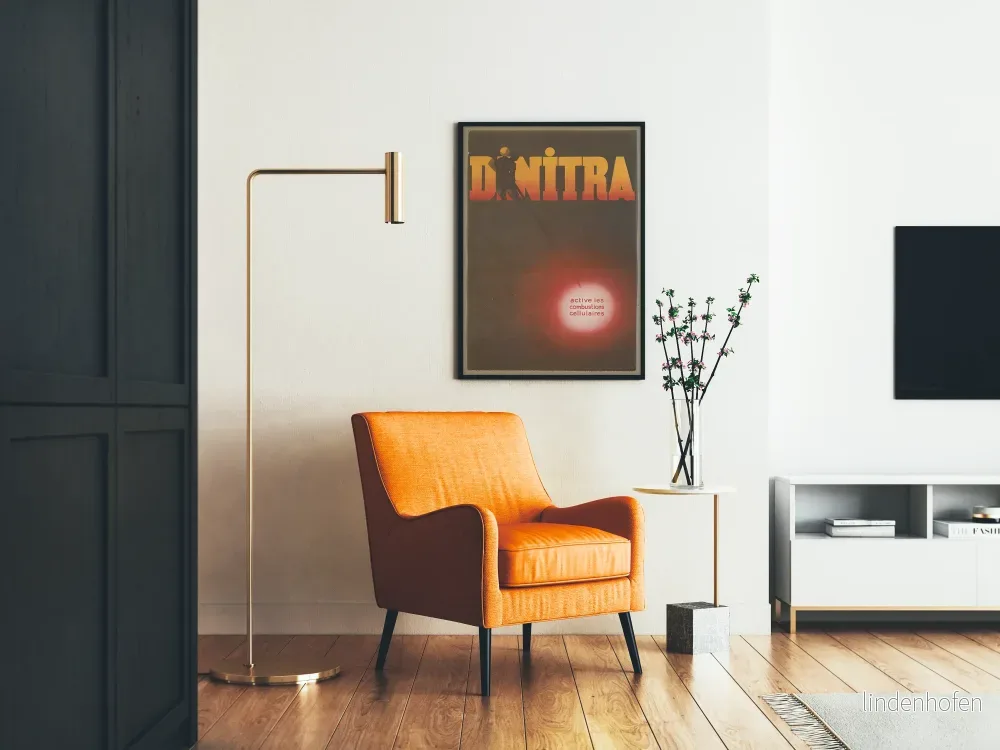Vintage affisch Dinitra väggdekoration retro industriell atmosfär - Bild 2