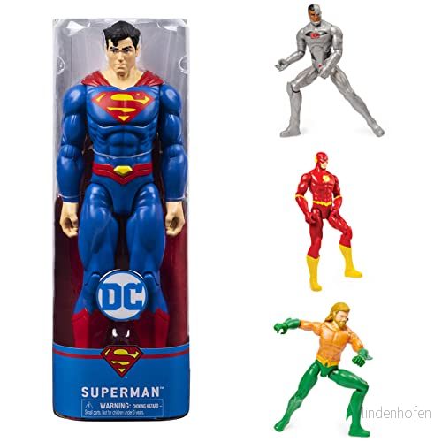 DC 30 cm Action Figure (Styles May Vary) 778988299333