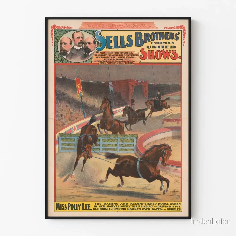 Vintageposter Sells Brothers Enorma United Shows - Miss Polly Lee och hennes hoppande hästar