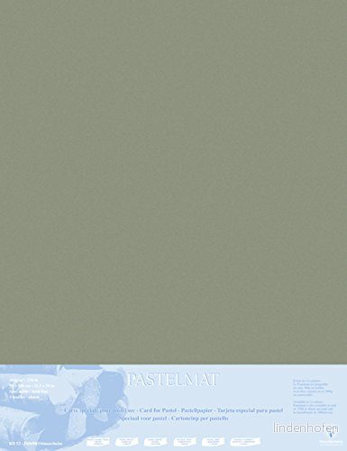 Clairefontaine Ref 396011C Pastelmatta monterad bräda (5 ark) 1800 mikron 70 x 100 cm brun färg speciellt formulerad för användning med pasteller 3329683960119