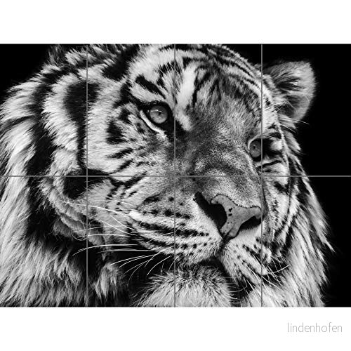 Artery8 Tiger närbild fotografi XL jättepanelaffisch (8 sektioner) 5059360890917