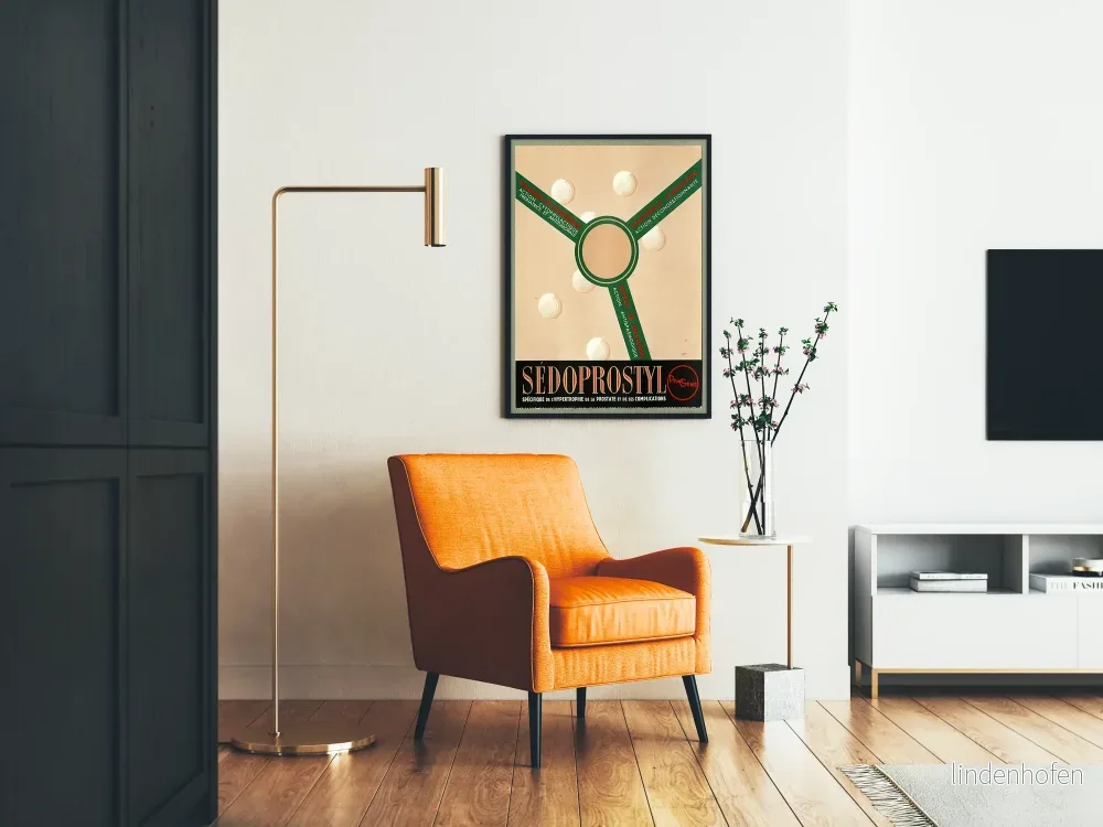Vintage affisch Sédoprostyl - Vintage hälsoväggdekoration - Bild 2