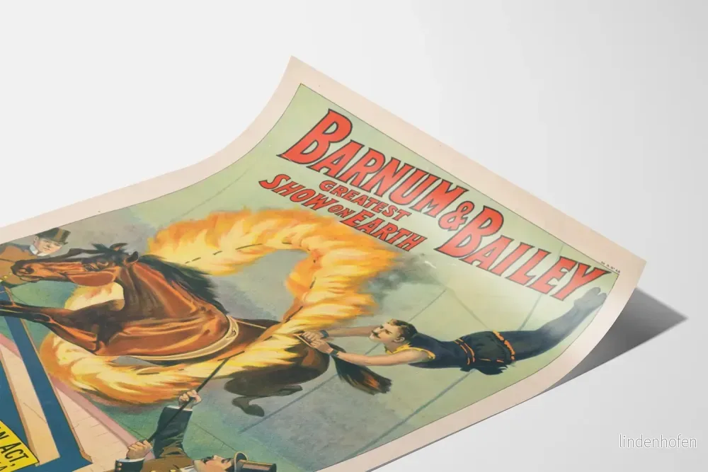 Vintageposter av det djärva Barnum & Bailey hästshowet - Bild 3