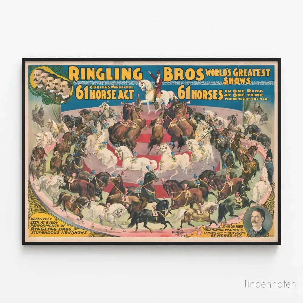Vintageposter Ringling Bros 61 hästar ridshow
