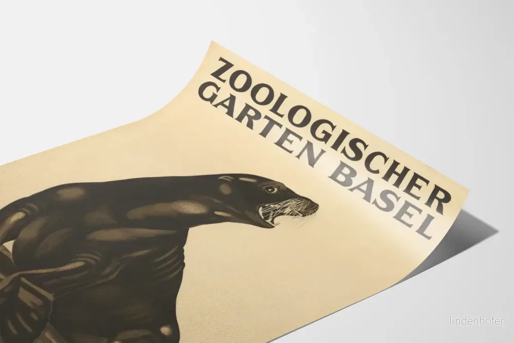Vintageposter från zoologiska trädgården i Basel - sjölejon - Bild 3