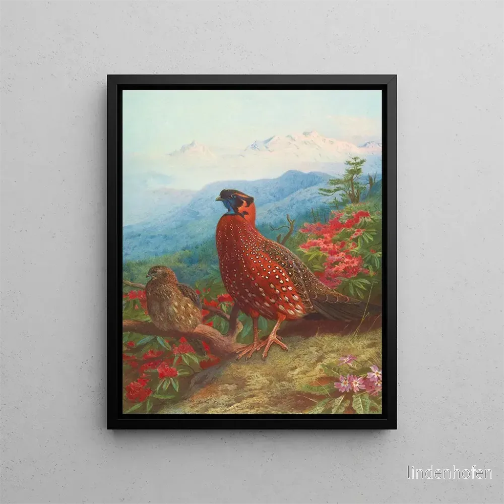Målning Le Satyre tragopan - Archibald Thorburn | Konsttryck