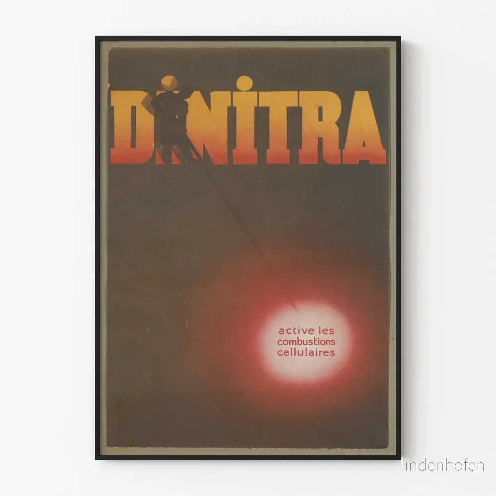 Vintage affisch Dinitra väggdekoration retro industriell atmosfär
